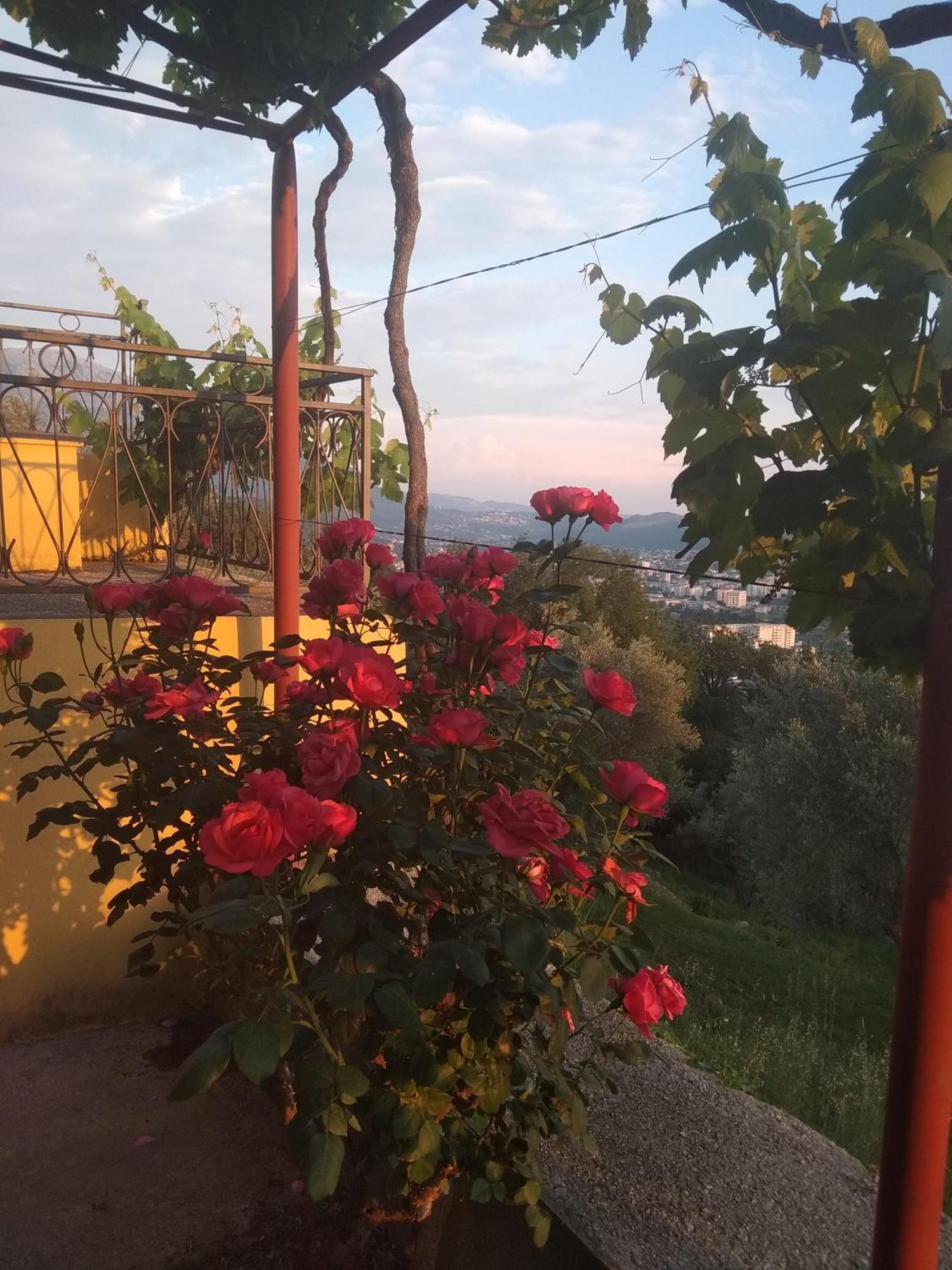 Apartman "Marko" Bar Exteriör bild